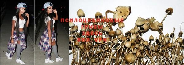 spice Каменск-Шахтинский