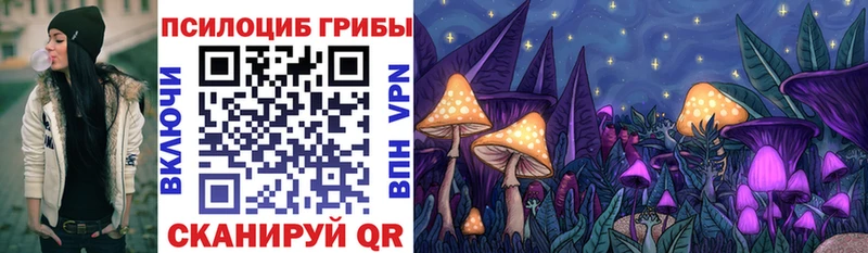 Галлюциногенные грибы Psilocybine cubensis  Купить закладки  Котельники 