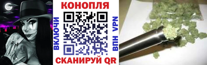 МАРИХУАНА план  Купить где  Котельники 